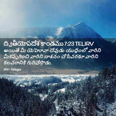 Picture 02 - ద్వితీయోపదేశ కాండము 7:23 TELIRV - అయితే మీ యెహోవా - Bible Verse Picture