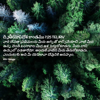 Picture 02 - ద్వితీయోపదేశ కాండము 7:25 TELIRV - వారి దేవతా - Bible Verse Picture