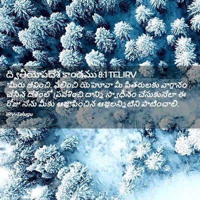 Picture 02 - ద్వితీయోపదేశ కాండము 8:1 TELIRV - “మీరు జీవించి, - Bible Verse Picture