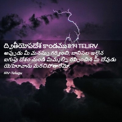 Picture 02 - ద్వితీయోపదేశ కాండము 8:14 TELIRV - అప్పుడు మీ మనస్సు - Bible Verse Picture