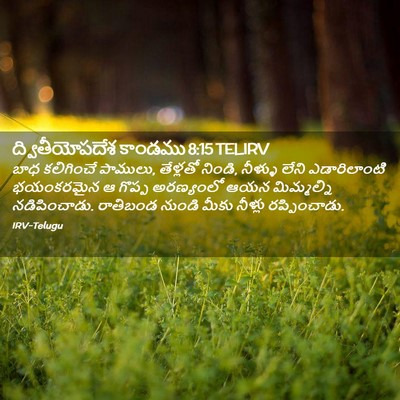 Picture 02 - ద్వితీయోపదేశ కాండము 8:15 TELIRV - బాధ కలిగించే - Bible Verse Picture