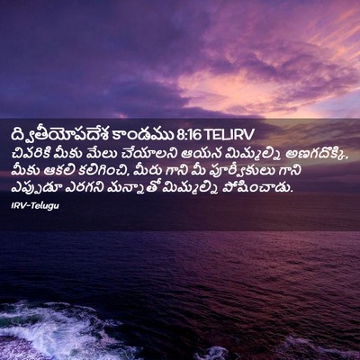 Picture 02 - ద్వితీయోపదేశ కాండము 8:16 TELIRV - చివరికి మీకు మేలు - Bible Verse Picture