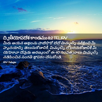 Picture 02 - ద్వితీయోపదేశ కాండము 8:2 TELIRV - మీరు ఆయన ఆజ్ఞలను - Bible Verse Picture