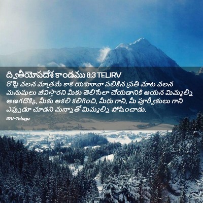Picture 02 - ద్వితీయోపదేశ కాండము 8:3 TELIRV - రొట్టె వలన - Bible Verse Picture