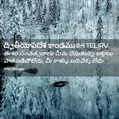 Picture 02 - ద్వితీయోపదేశ కాండము 8:4 TELIRV - ఈ 40 సంవత్సరాలు - Bible Verse Picture