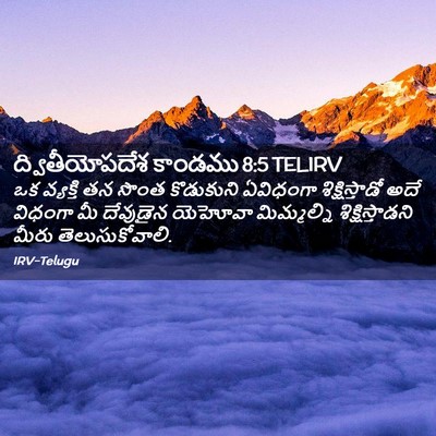 Picture 02 - ద్వితీయోపదేశ కాండము 8:5 TELIRV - ఒక వ్యక్తి తన సొంత - Bible Verse Picture