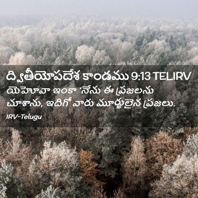 Picture 02 - ద్వితీయోపదేశ కాండము 9:13 TELIRV - యెహోవా ఇంకా ‘నేను - Bible Verse Picture