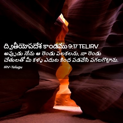 Picture 02 - ద్వితీయోపదేశ కాండము 9:17 TELIRV - అప్పుడు నేను ఆ - Bible Verse Picture