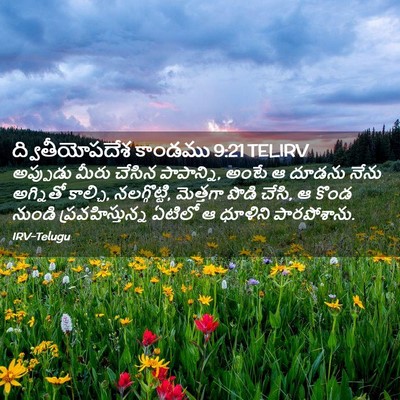 Picture 02 - ద్వితీయోపదేశ కాండము 9:21 TELIRV - అప్పుడు మీరు - Bible Verse Picture