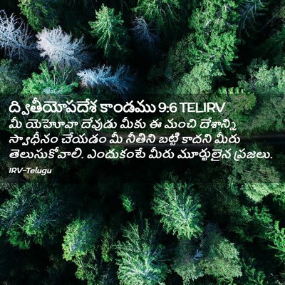 Picture 02 - ద్వితీయోపదేశ కాండము 9:6 TELIRV - మీ యెహోవా దేవుడు - Bible Verse Picture