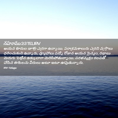 Picture 02 - నహూము 2:3 TELIRV - ఆయన శూరుల డాళ్లు - Bible Verse Picture