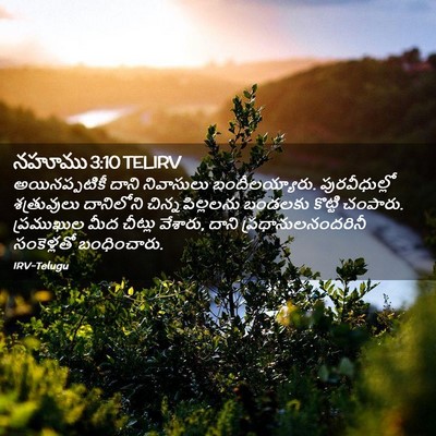 Picture 02 - నహూము 3:10 TELIRV - అయినప్పటికీ దాని - Bible Verse Picture