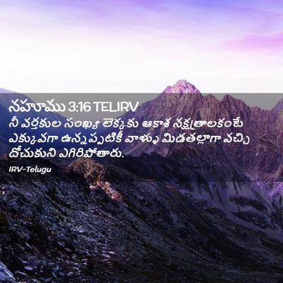 Picture 02 - నహూము 3:16 TELIRV - నీ వర్తకుల సంఖ్య - Bible Verse Picture
