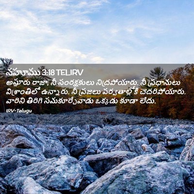 Picture 02 - నహూము 3:18 TELIRV - అష్షూరు రాజా, నీ - Bible Verse Picture