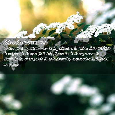 Picture 02 - నహూము 3:5 TELIRV - సేనల ప్రభువు - Bible Verse Picture