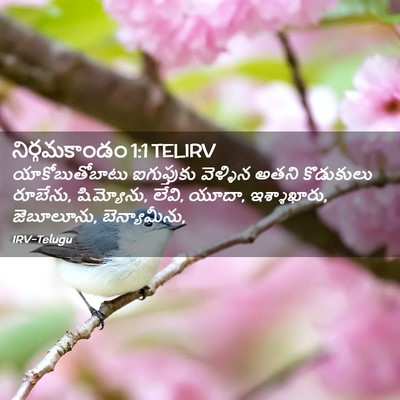 Picture 02 - నిర్గమకాండం 1:1 TELIRV - యాకోబుతోబాటు - Bible Verse Picture