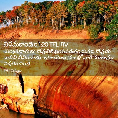 Picture 02 - నిర్గమకాండం 1:20 TELIRV - మంత్రసానులు - Bible Verse Picture