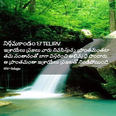 Picture 02 - నిర్గమకాండం 1:7 TELIRV - ఇశ్రాయేలు ప్రజలు - Bible Verse Picture