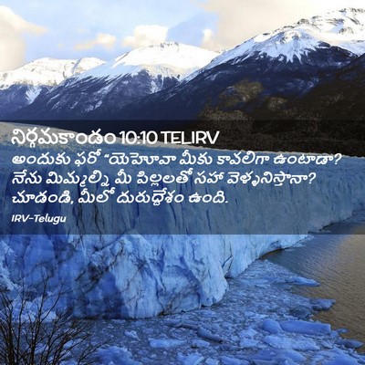 Picture 02 - నిర్గమకాండం 10:10 TELIRV - అందుకు ఫరో - Bible Verse Picture