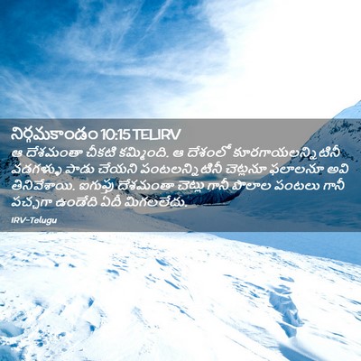 Picture 02 - నిర్గమకాండం 10:15 TELIRV - ఆ దేశమంతా చీకటి - Bible Verse Picture
