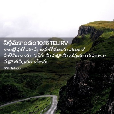 Picture 02 - నిర్గమకాండం 10:16 TELIRV - కాబట్టి ఫరో మోషే - Bible Verse Picture