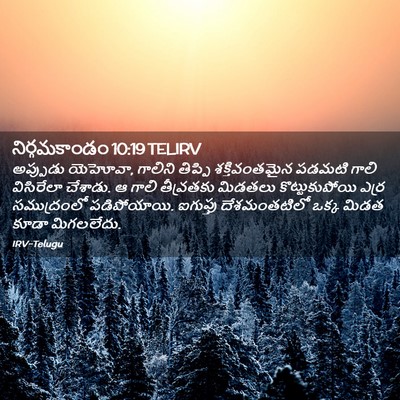 Picture 02 - నిర్గమకాండం 10:19 TELIRV - అప్పుడు యెహోవా, - Bible Verse Picture