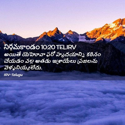 Picture 02 - నిర్గమకాండం 10:20 TELIRV - అయితే యెహోవా ఫరో - Bible Verse Picture