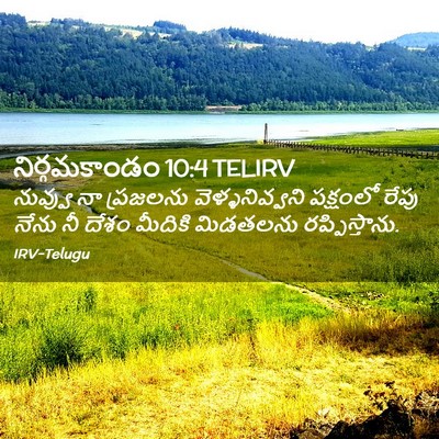 Picture 02 - నిర్గమకాండం 10:4 TELIRV - నువ్వు నా ప్రజలను - Bible Verse Picture