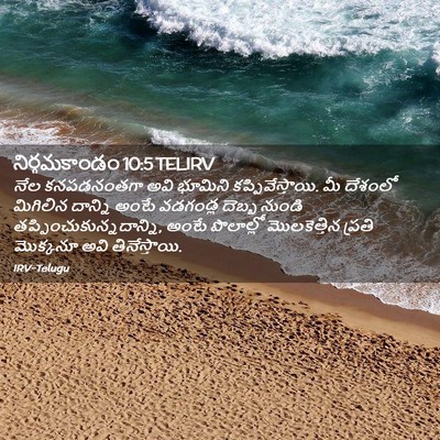 Picture 02 - నిర్గమకాండం 10:5 TELIRV - నేల కనపడనంతగా అవి - Bible Verse Picture