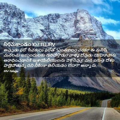 Picture 02 - నిర్గమకాండం 10:7 TELIRV - అప్పుడు ఫరో - Bible Verse Picture