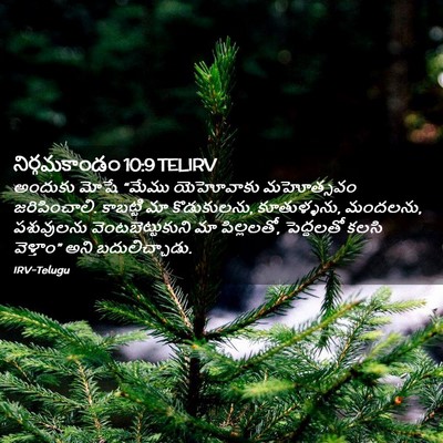 Picture 02 - నిర్గమకాండం 10:9 TELIRV - అందుకు మోషే “మేము - Bible Verse Picture