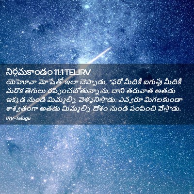 Picture 02 - నిర్గమకాండం 11:1 TELIRV - యెహోవా మోషేతో ఇలా - Bible Verse Picture