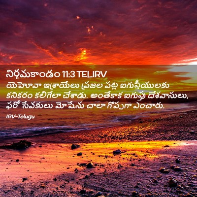 Picture 02 - నిర్గమకాండం 11:3 TELIRV - యెహోవా ఇశ్రాయేలు - Bible Verse Picture