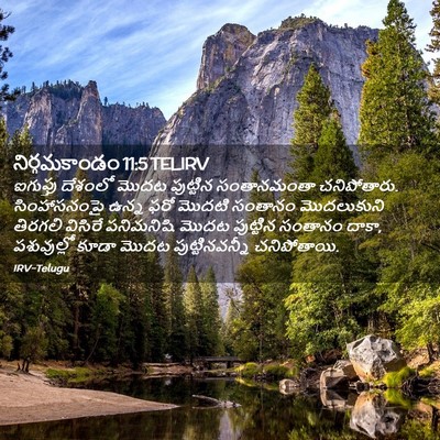 Picture 02 - నిర్గమకాండం 11:5 TELIRV - ఐగుప్తు దేశంలో - Bible Verse Picture