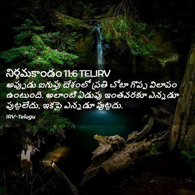 Picture 02 - నిర్గమకాండం 11:6 TELIRV - అప్పుడు ఐగుప్తు - Bible Verse Picture
