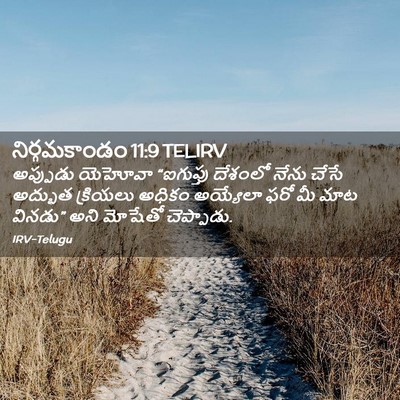 Picture 02 - నిర్గమకాండం 11:9 TELIRV - అప్పుడు యెహోవా - Bible Verse Picture