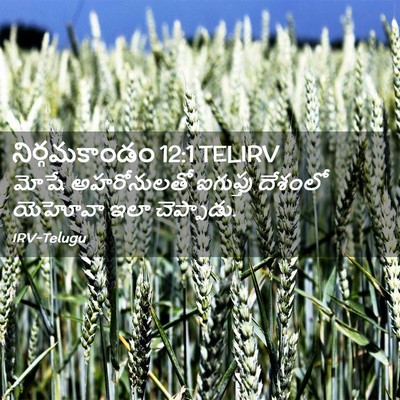 Picture 02 - నిర్గమకాండం 12:1 TELIRV - మోషే అహరోనులతో - Bible Verse Picture