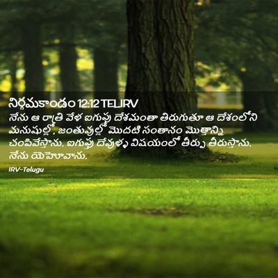 Picture 02 - నిర్గమకాండం 12:12 TELIRV - నేను ఆ రాత్రి వేళ - Bible Verse Picture
