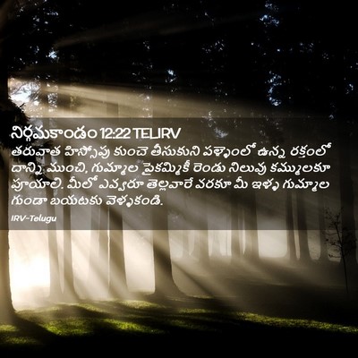 Picture 02 - నిర్గమకాండం 12:22 TELIRV - తరువాత హిస్సోపు - Bible Verse Picture