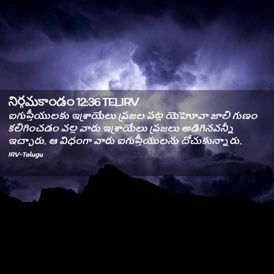 Picture 02 - నిర్గమకాండం 12:36 TELIRV - ఐగుప్తీయులకు - Bible Verse Picture