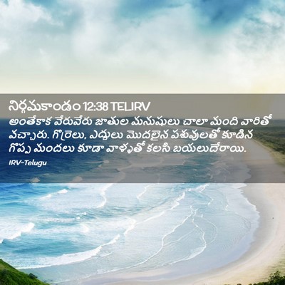 Picture 02 - నిర్గమకాండం 12:38 TELIRV - అంతేకాక వేరువేరు - Bible Verse Picture