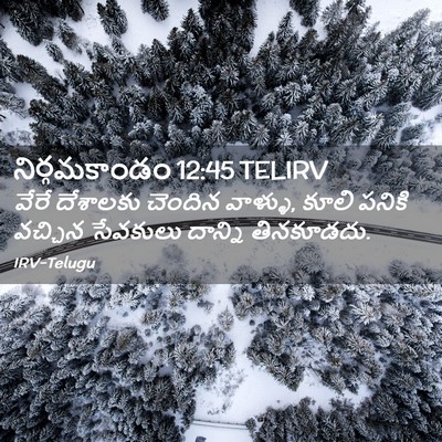 Picture 02 - నిర్గమకాండం 12:45 TELIRV - వేరే దేశాలకు - Bible Verse Picture