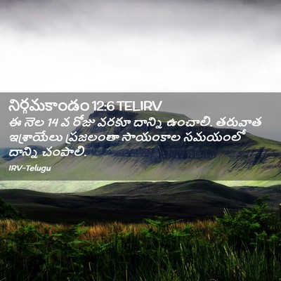 Picture 02 - నిర్గమకాండం 12:6 TELIRV - ఈ నెల 14 వ రోజు వరకూ - Bible Verse Picture