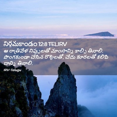 Picture 02 - నిర్గమకాండం 12:8 TELIRV - ఆ రాత్రివేళ - Bible Verse Picture