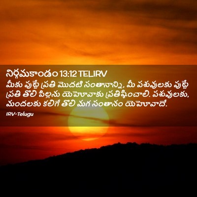Picture 02 - నిర్గమకాండం 13:12 TELIRV - మీకు పుట్టే ప్రతి - Bible Verse Picture
