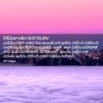Picture 02 - నిర్గమకాండం 13:13 TELIRV - ప్రతిష్ఠించినది - Bible Verse Picture