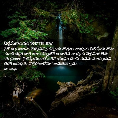 Picture 02 - నిర్గమకాండం 13:17 TELIRV - ఫరో ఆ ప్రజలను - Bible Verse Picture