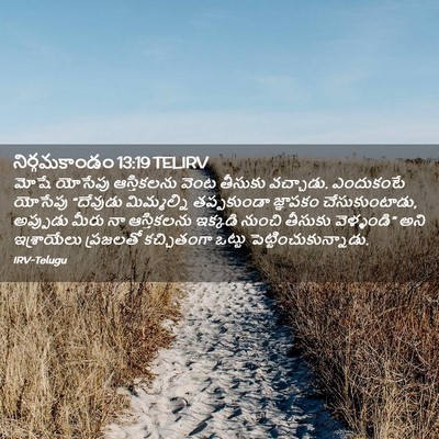 Picture 02 - నిర్గమకాండం 13:19 TELIRV - మోషే యోసేపు - Bible Verse Picture