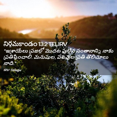Picture 02 - నిర్గమకాండం 13:2 TELIRV - “ఇశ్రాయేలు - Bible Verse Picture