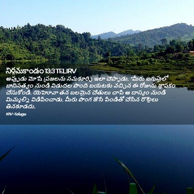 Picture 02 - నిర్గమకాండం 13:3 TELIRV - అప్పుడు మోషే - Bible Verse Picture